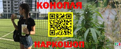 прущие крисы Свободный