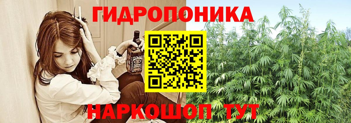 Бошки марихуана White Widow  Вход с VPN  Канабис семена  МАРИХУАНА семена  Конопля THC 21%  Сатка 
